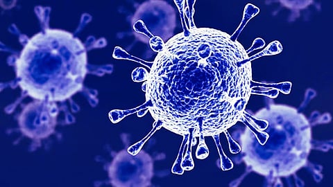 hMPV: PMC Establishes 50-Bed Isolation Ward at Naidu Infectious Diseases Hospital