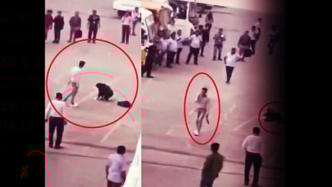 Shubhada Kodare Murder Viral Video