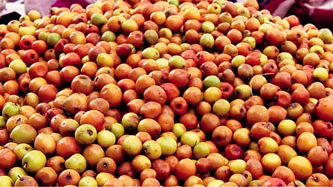 Jujubes (Bor)