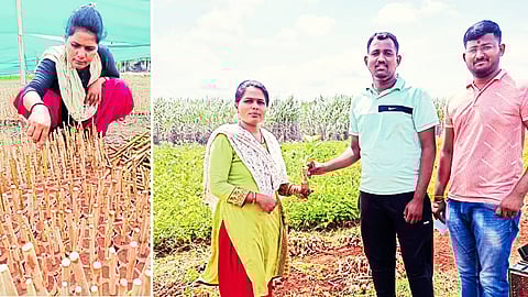 Computer Engineer-Turned-Farmer Earns ₹28 Lakh Annually with High-Tech Mulberry Silk Nursery