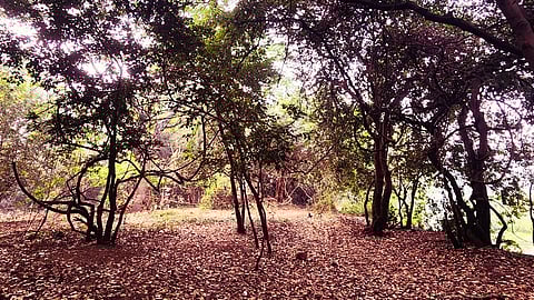 Chipko march to protect Ram-Mula sacred grove