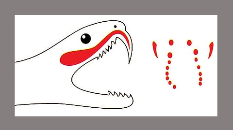 Representational Image