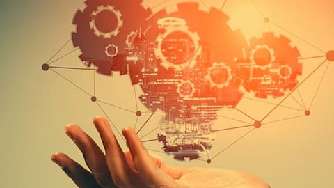 Micro, Small, and Medium Enterprises