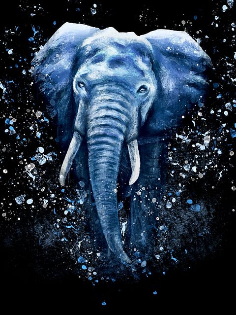 Digital Elephant