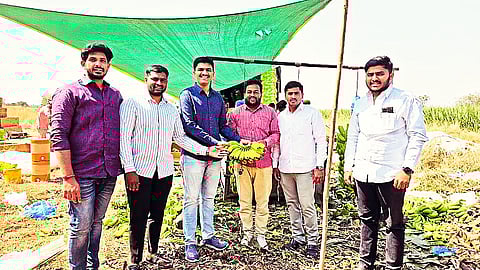 Indapur Farmer Exports Bananas to Iran