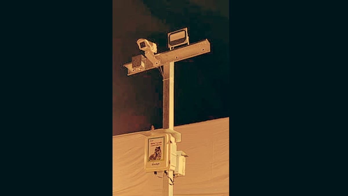 AI and Edge Computing-Based Surveillance to Tackle Leopard Threat