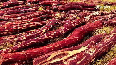 Image for representational purpose