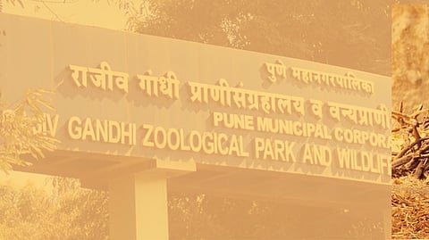 Rajiv Gandhi Zoological Park at Katraj