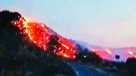 Wildfires Ravage Forests in Khed