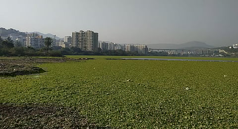 Pune: Katraj, Jambhulwadi, and Pashan Lakes to Be Desilted
