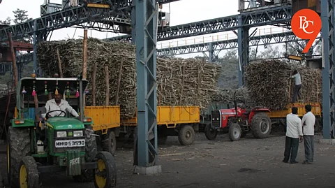 Maharashtra's Sugar Production Takes a Hit