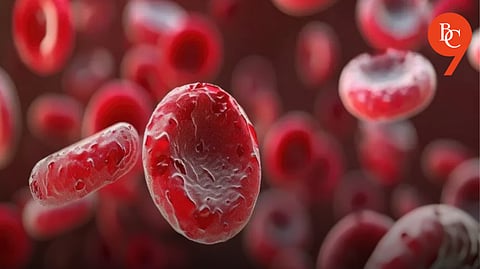 World Thalassemia Day: Why Every Couple Must Get Tested Before Marriage-Protect Your Child’s Future