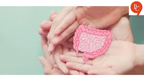 Gut Health 101: Why It’s More Important Than You Think