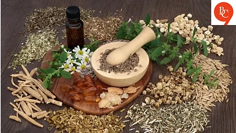 Indian Herbs That Are Better Than Supplements