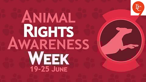 Animal Rights Awareness Week