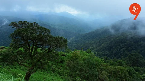 Tourists flock to witness lush greenery, waterfalls and foggy mornings to Katraj Ghat