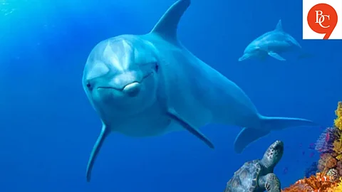 The Best Nature Documentaries for Kids That Are Actually Fun