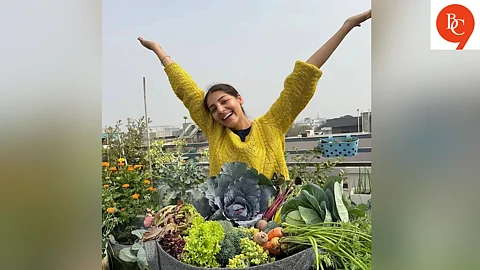 Ludhiana MBA Turns 2,000 sq ft Terrace Into 200-Plant Green Paradise