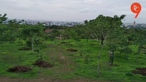 Treated STP Water to Nurture Taljai Forest