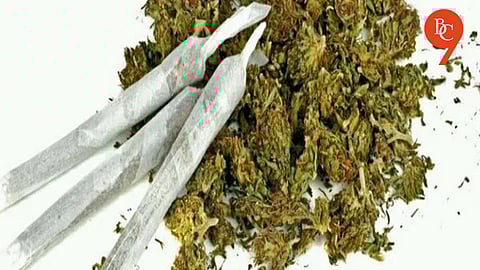 22 Kg marijuana Seized from Ambegaon Area; Two Notorious Peddlers Arrested