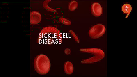 CSIR to Launch ₹87 Sickle Cell Test Kit
