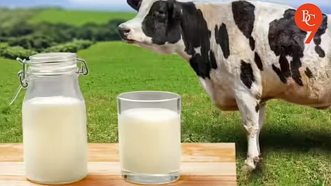Pune District Milk Federation Raises Cow Milk Procurement Price by ₹1/Litre
