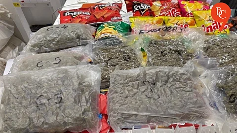 Pune Airport: Passenger From Bangkok Caught With ₹6 Crore Worth of Cannabis