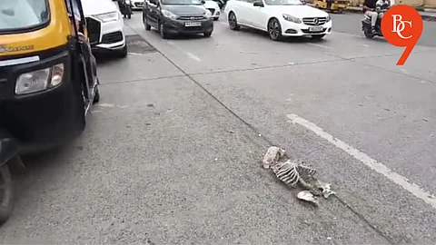 Skeleton Scare at Pune’s Shastrinagar Chowk Turns Out to Be a Lab Model