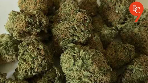 Policeman Suspended in Pune for Role in Ganja Sale