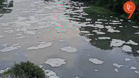 NGT Forms Committee to Probe Pawana River Pollution in Pune
