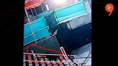 Leopard Spotted at Kanifnath Temple in Pune, Residents Demand Immediate Safety Measures