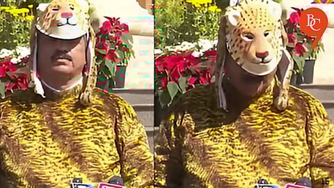 Junnar MLA Sonwane Wears Leopard Costume to Protest Surge in Big Cat Attacks; 55+ Killed in 3 Months