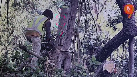 Negligence During Cutting Tree Branches Leaves Young Man Critically Injured in Pune