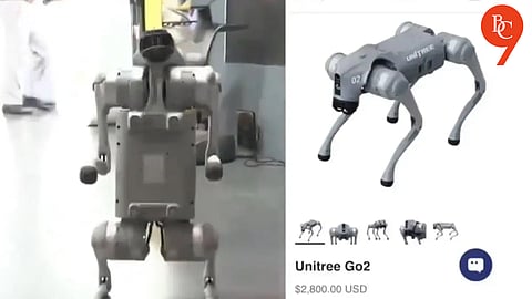 AI Summit Eviction: Galgotias University in Dispute Over Chinese Robodog