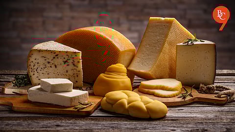 Pune: FDA Cracks Down on Mislabelled ‘Cheese Analog’ in Food Businesses
