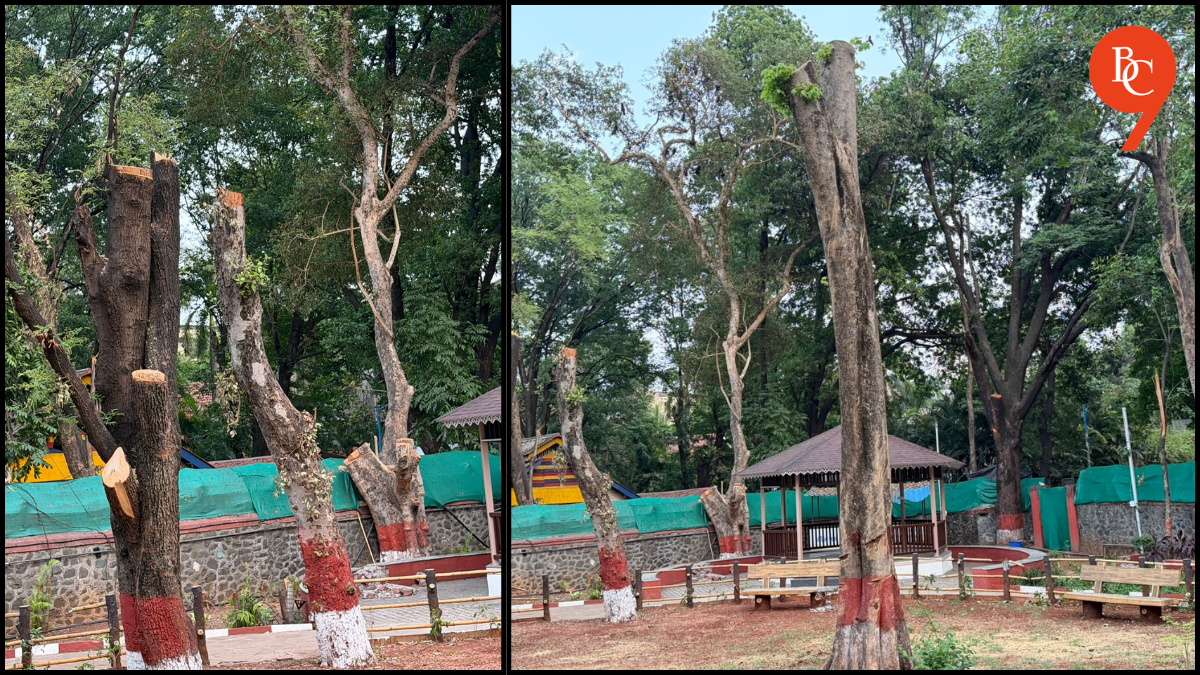 Pune Civic Body Cuts Around 20 Trees at Mayor’s Bungalow; Sparks Outrage