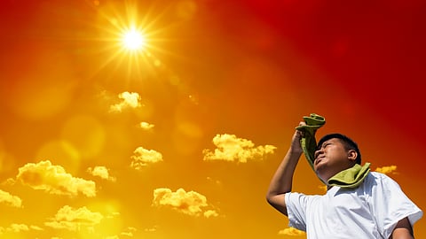Maharashtra Heatwave Crisis: 175 Heatstroke Cases, 6 Deaths Reported; IMD Issues Alerts and Health Advisory
