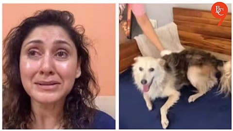 Actor Manjari Fadnis breaks down in tears, alleges community dog was assaulted and killed in housing society