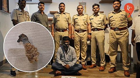 Pune: Wildlife Trafficker Arrested with Monitor Lizard Body Parts Near Railway Station