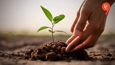 Pune Forest Circle to Plant 30 Lakh Saplings During Van Mahotsav 2026 in 408 hectares