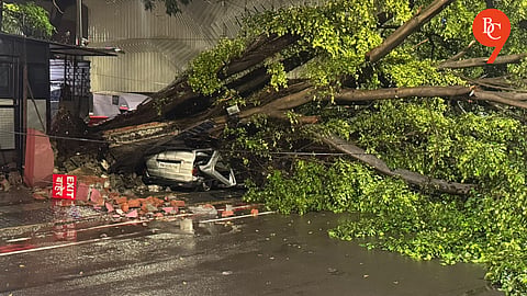 Heavy Rain Batters Pune; Water Enters Police Headquarters, 51 Tree Fall Incidents Reported