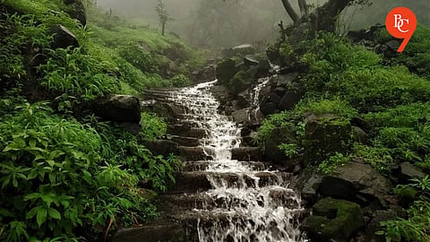 Pune Monsoon Tourism: Forest Department Issues Safety Advisory for Visitors to Hills, Forts and Waterfalls
