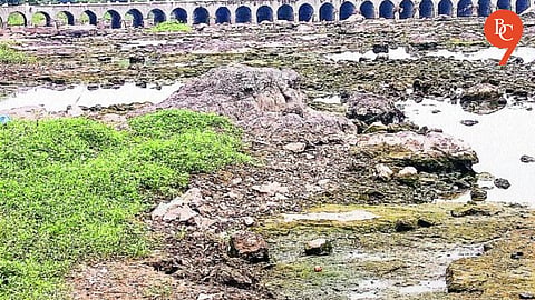 Pune: Wagholi Water Supply Disrupted as Bhima River Level Drops