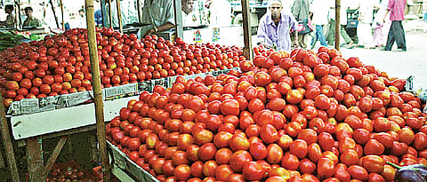Farmer’s ordeal worsens, earns Rs 1 for 400 kg tomatoes
