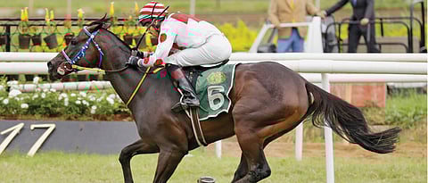 Rochester claims FD Wadia Trophy