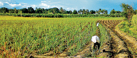 Farm woes to take centrestage as poll battle looms