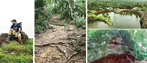 A breezy little paradise