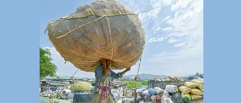 Tackling plastic trash at Rohtang Pass an uphill task