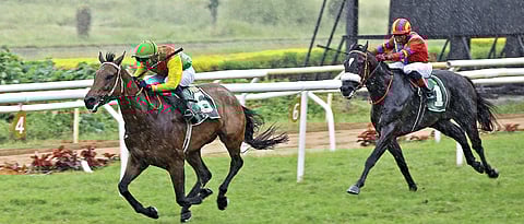 Sea The Dream Wins Fourth Estate Trophy