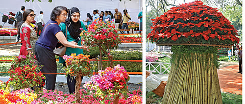 Huge crowds at Empress Garden flower expo